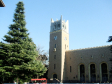 早稲田大学AO入試対策プラン