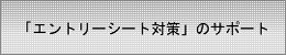 「エントリーシート対策」のサポート