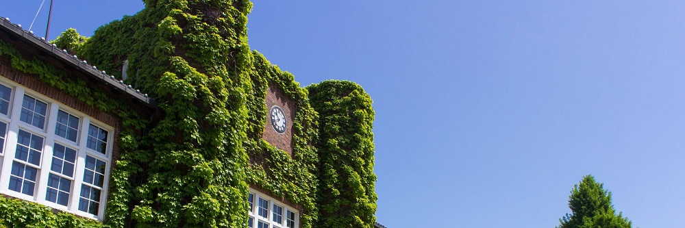 立教大学 自由選抜入試 国際コース選抜 合格体験記 一覧 総合型選抜 Ao入試 推薦入試 小論文の個別指導塾 洋々