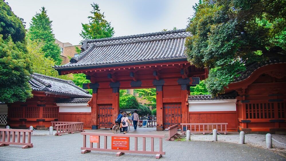 東京大学 推薦入試対策プラン 総合型選抜 Ao入試 推薦入試 小論文の個別指導塾 洋々