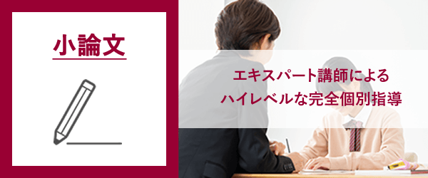 大学入試における小論文 | 総合型選抜(AO入試・推薦入試)・小論文の