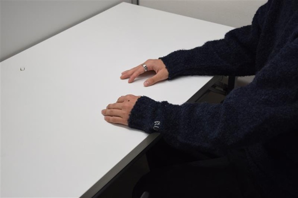 上智大学総合グローバル学部総合グローバル学科 推薦入試(公募制) 合格