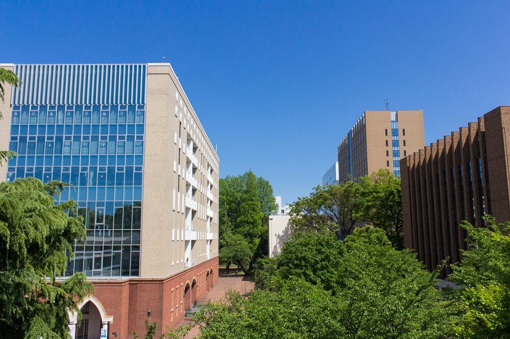 指定校推薦から公募制推薦にシフトチェンジをし、見事学習院大学経済学部に合格！S.Yさん 総合型選抜(AO入試