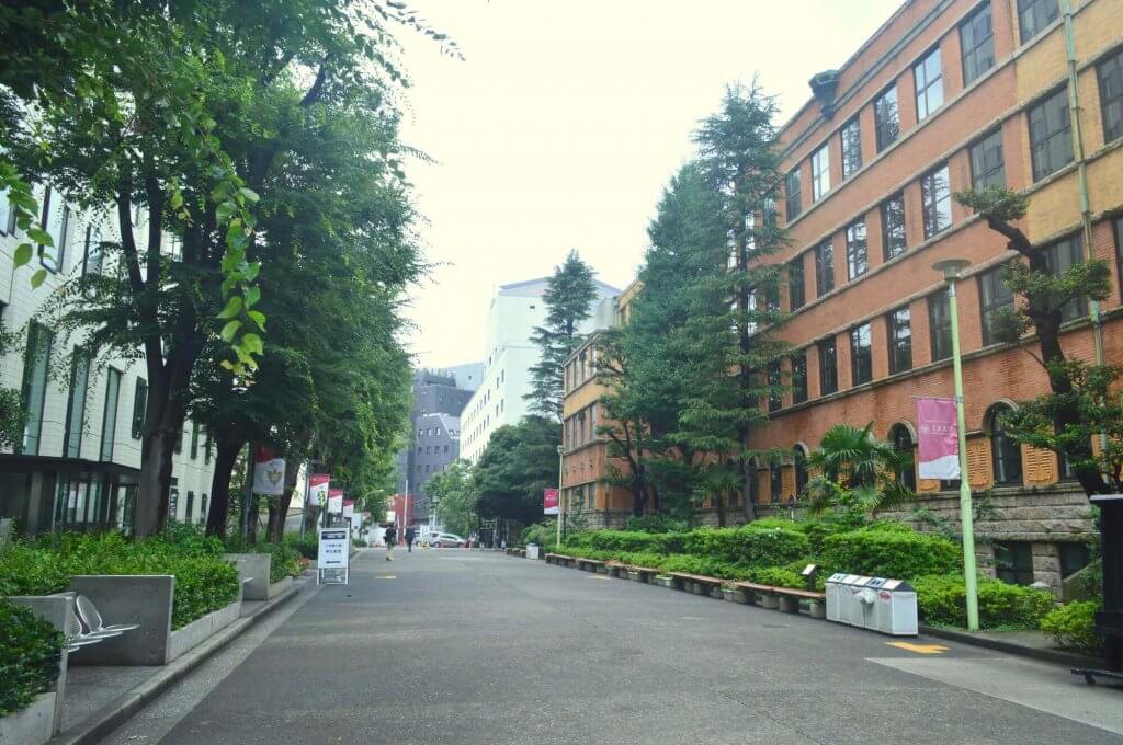 上智公募推薦の倍率の推移 ７ 総合グローバル学部 09 18 洋々labo