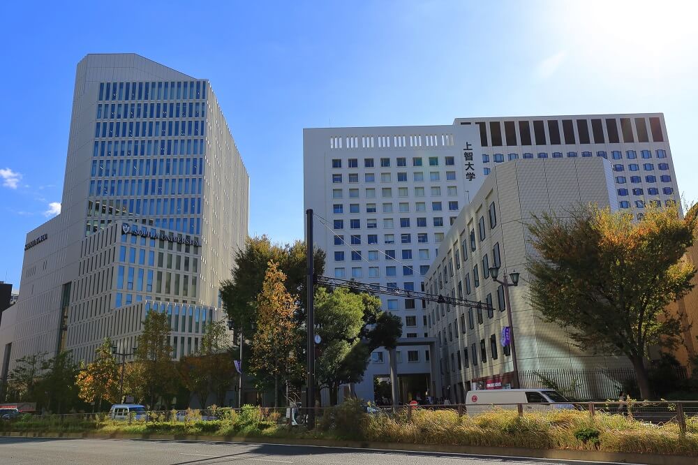 11 年度 上智公募推薦の倍率の推移 3 総合人間科学部 洋々labo