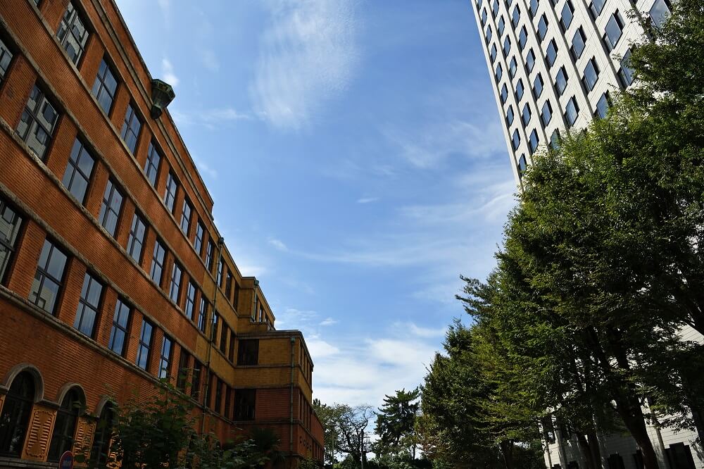 11 年度 上智公募推薦の倍率の推移 5 経済学部 洋々labo