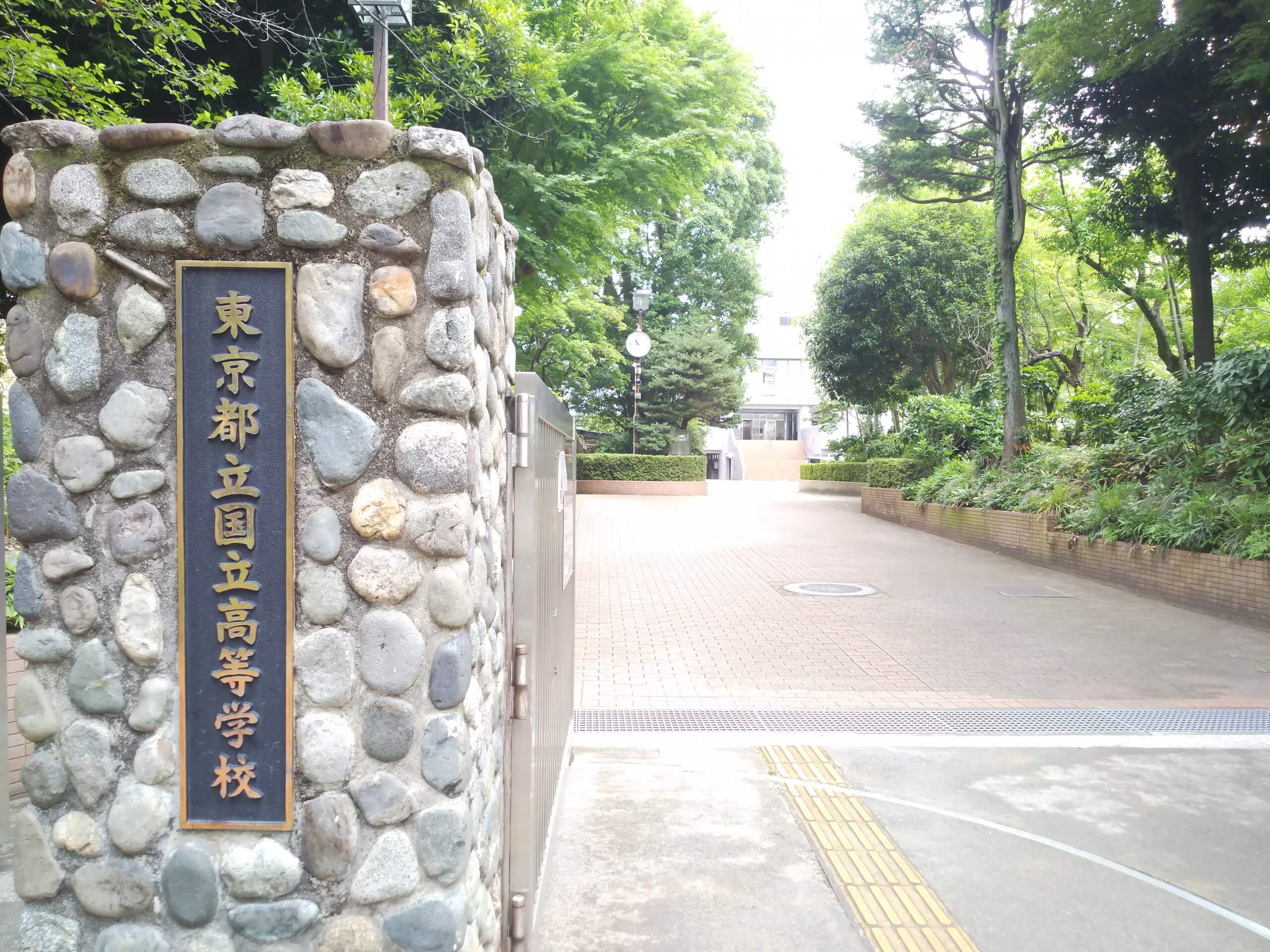 都立国立高校 2025年度推薦入試：小論文試験 | 洋々LABO（高校受験）